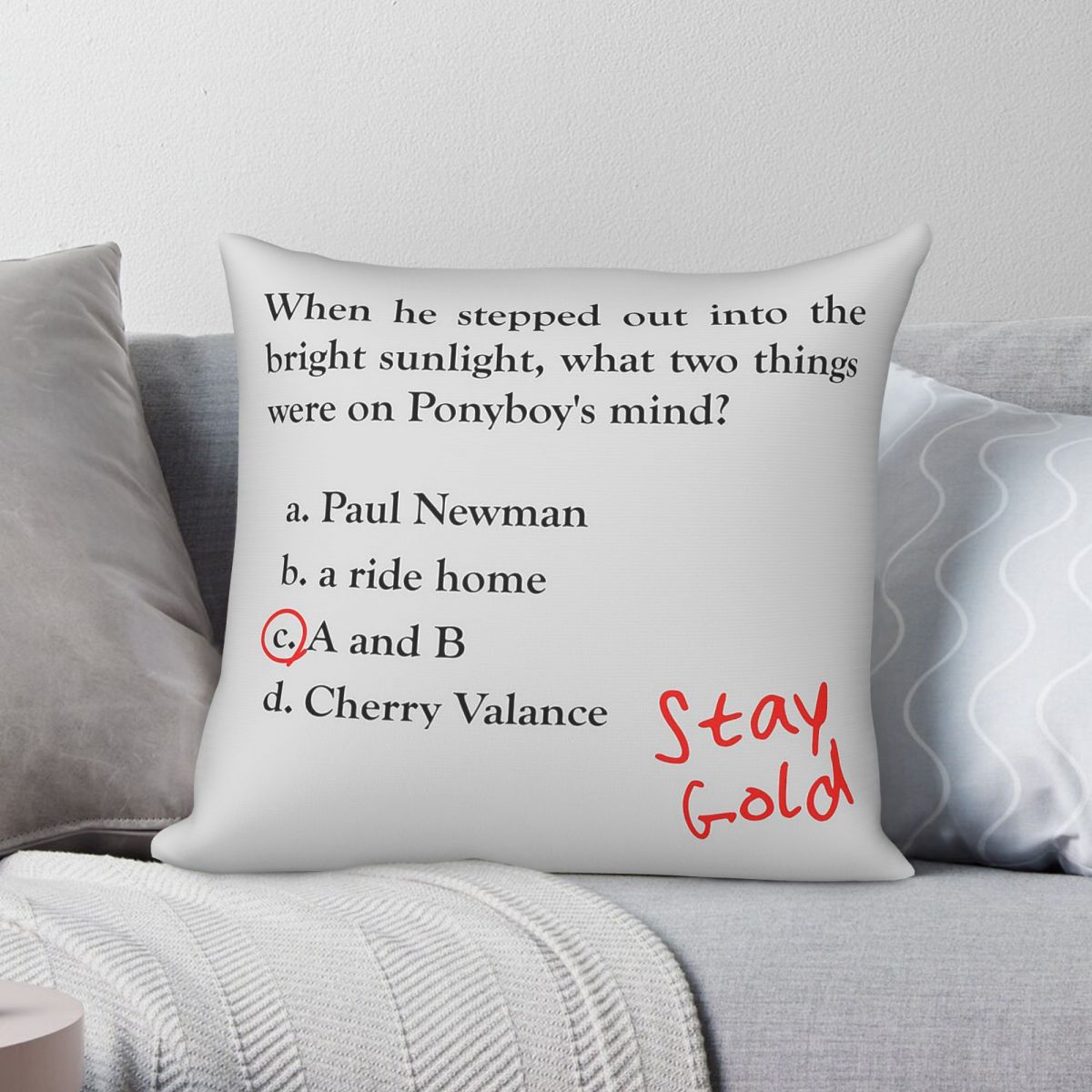 Outsiders Ponyboy Quiz Questio – Home Decor Quiz Bewertung und Preis