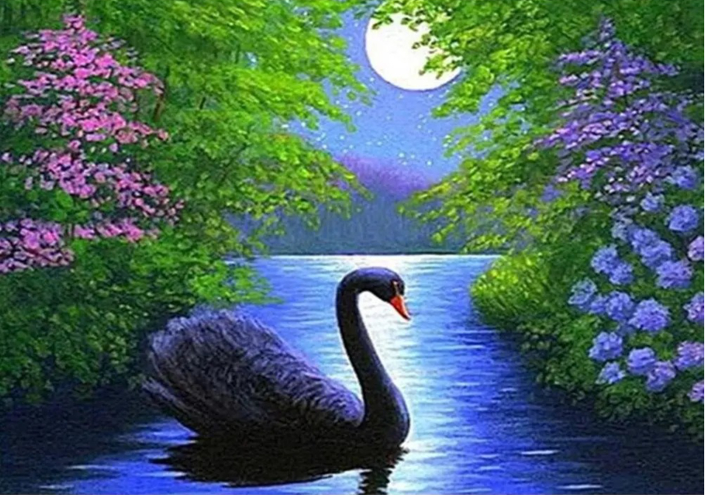 1000/500 PCS Jigsaw Black Swan – Home Decor Under 1000 Bewertung und Preis
