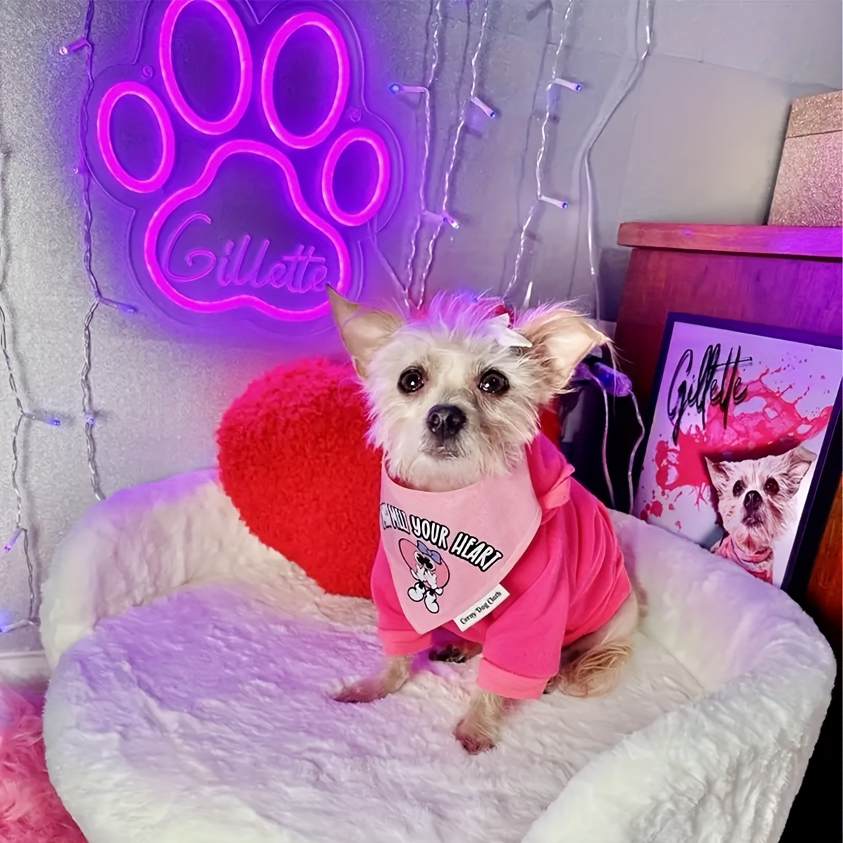 Custom Paw Print Neon Sign wit – Home Decor Store Bewertung und Preis