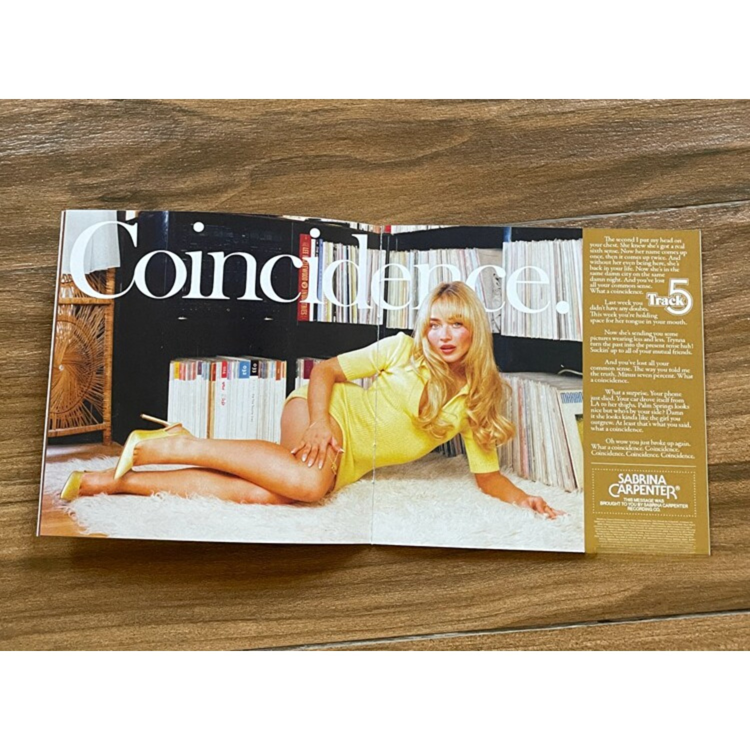 Rare Sealed Sabrina Carpenter  – Home Decor Collection Bewertung und Preis