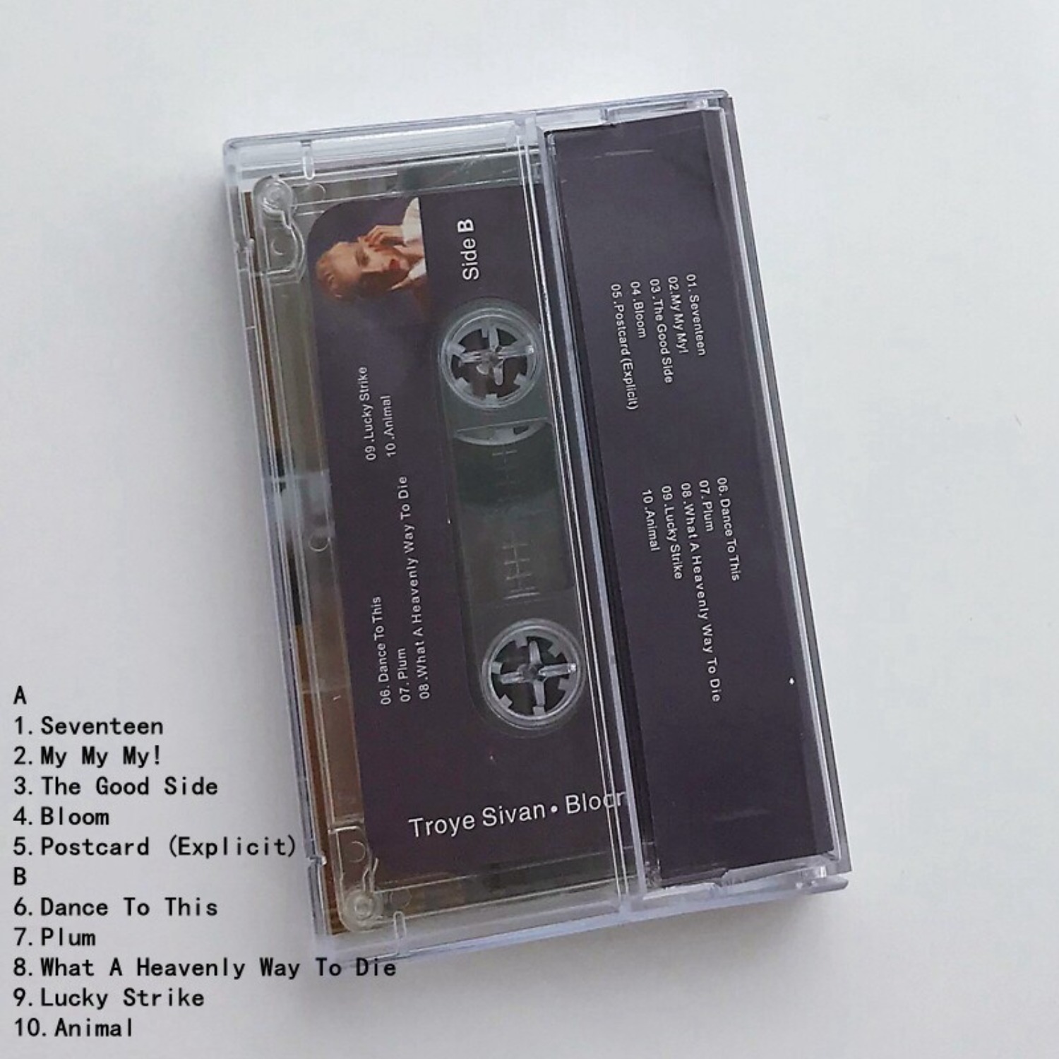 Rare Sealed Troye Sivan Bloom  – Home Decor Collection Bewertung und Preis